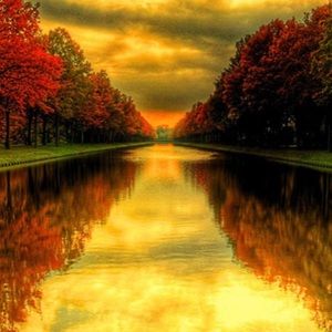 Meet your Posher, Elena